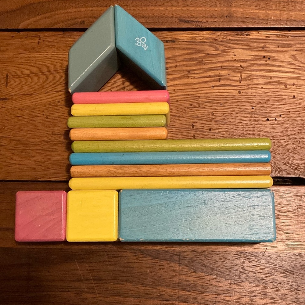 Tegu blocks